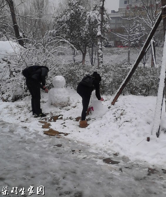 堆雪人的男女.jpg